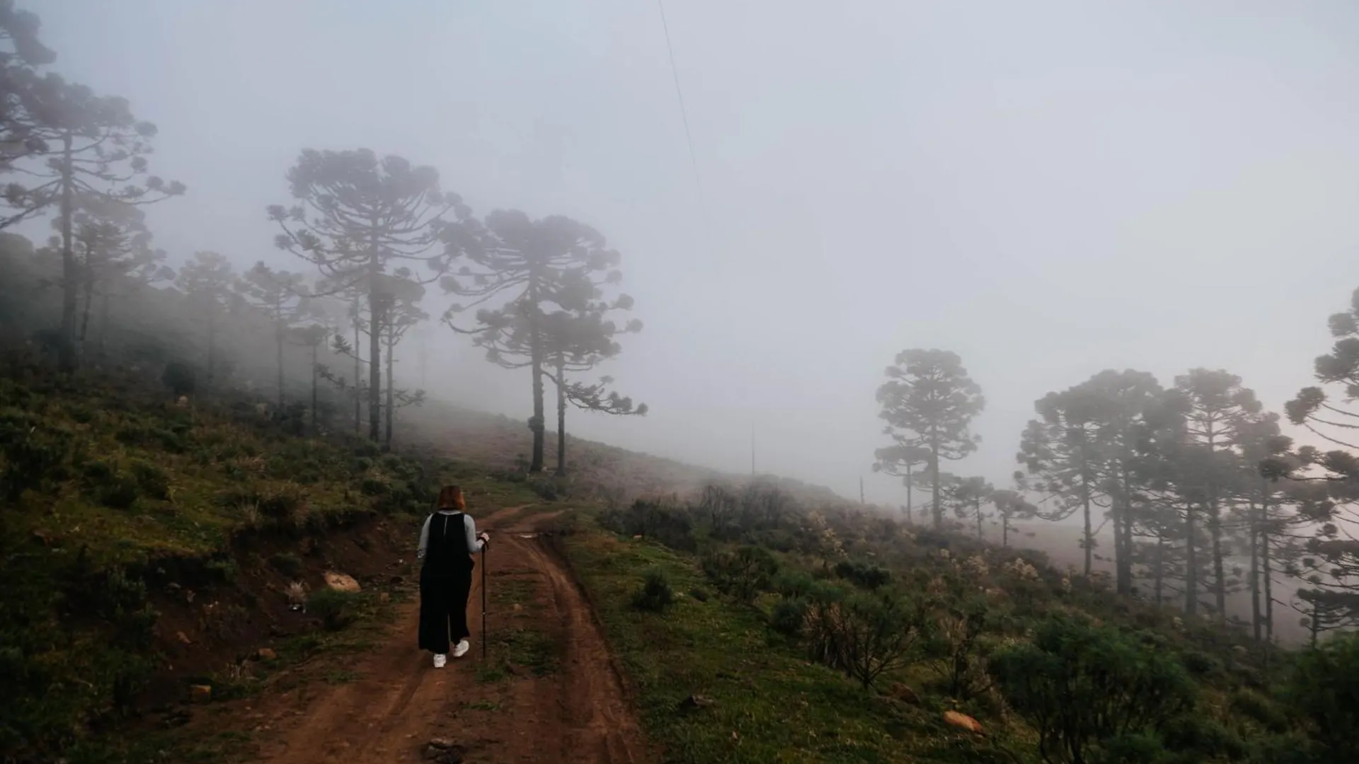 Refugio Bivak Vila Urubici