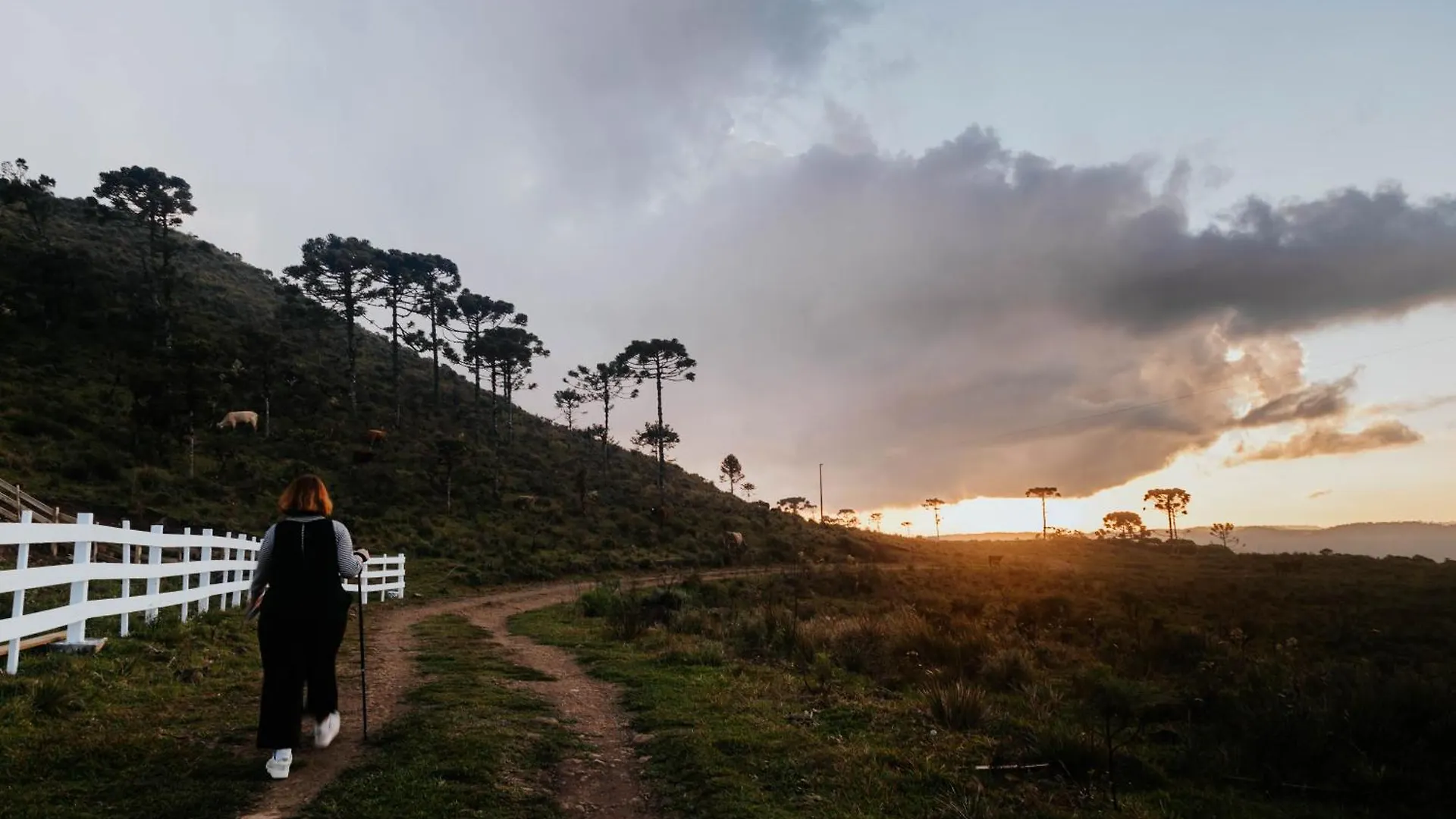 Alojamento de Turismo Selvagem Refugio Bivak Vila Urubici